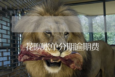 花呗账单分期逾期费 花呗账单分期逾期费