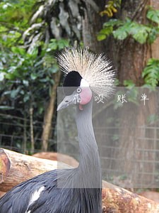 花呗账单已逾期两天影响征信吗 花呗账单已逾期两天影响征信吗