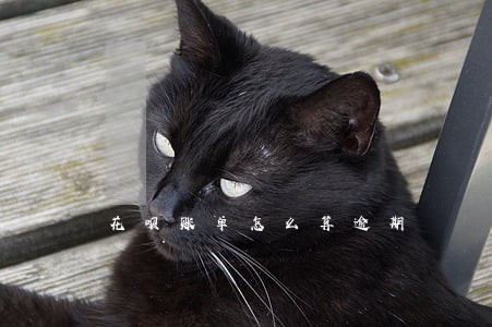 花呗账单怎么算逾期 花呗账单怎么算逾期