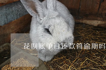 花呗账单日还款算逾期吗 花呗账单日还款算逾期吗