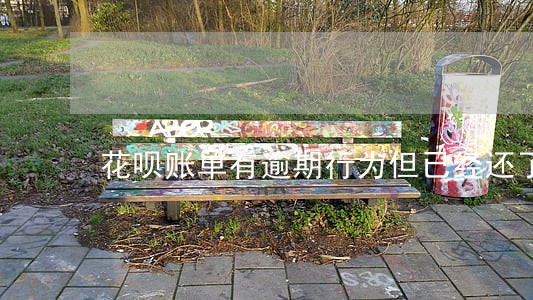 花呗账单有逾期行为但已经还了