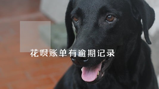 花呗账单有逾期记录 花呗账单有逾期记录