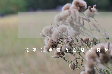 花呗账单没有逾期却突然关闭