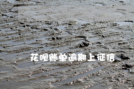 花呗账单逾期上征信 花呗账单逾期上征信