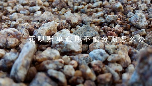 花呗账单逾期不能分期怎么办 花呗账单逾期不能分期怎么办