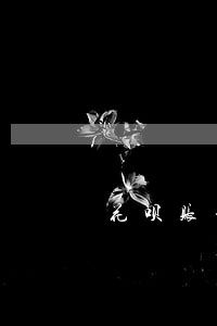 花呗账单逾期两三个月会怎样