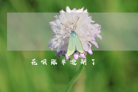 花呗账单逾期了