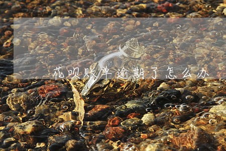 花呗账单逾期了怎么办