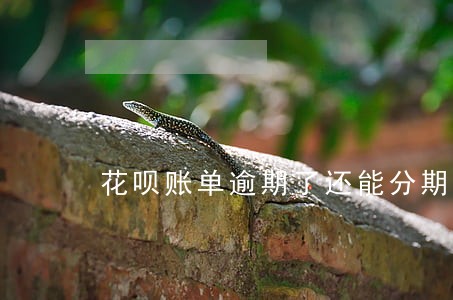 花呗账单逾期了还能分期吗 花呗账单逾期了还能分期吗