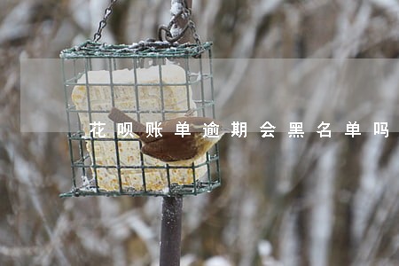花呗账单逾期会黑名单吗 花呗账单逾期会黑名单吗