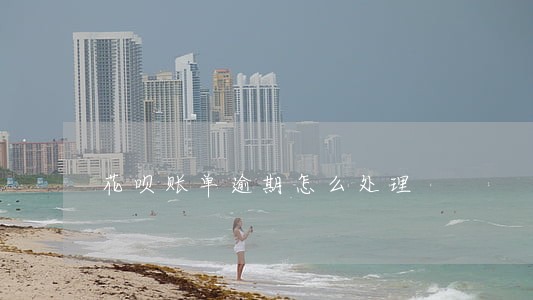 花呗账单逾期怎么处理 花呗账单逾期怎么处理