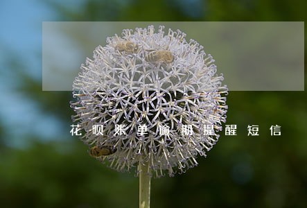 花呗账单逾期提醒短信 花呗账单逾期提醒短信