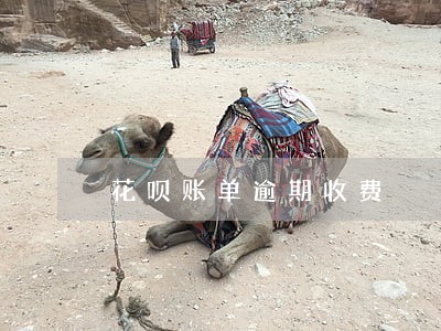 花呗账单逾期收费
