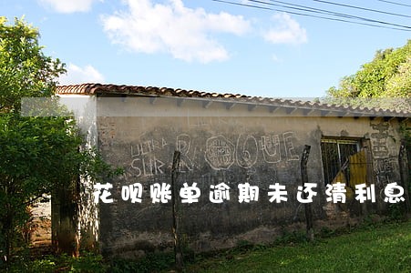 花呗账单逾期未还清利息多少 花呗账单逾期未还清利息多少