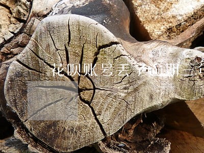 花呗账号丢了逾期三年怎么办 花呗账号丢了逾期三年怎么办