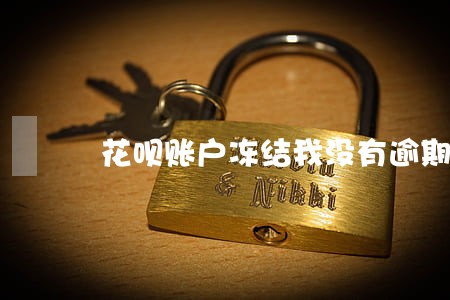 花呗账户冻结我没有逾期呀 花呗账户冻结我没有逾期呀