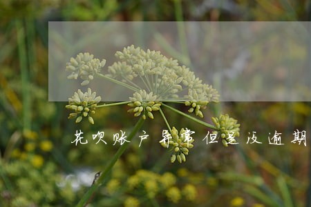 花呗账户异常但是没逾期