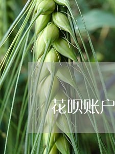 花呗账户异常无逾期