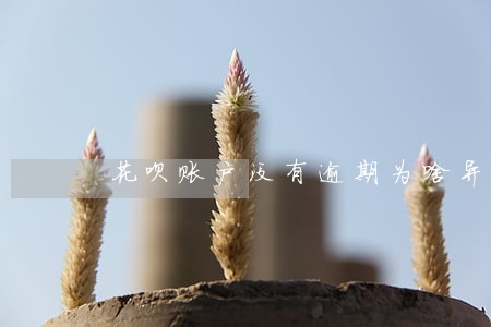 花呗账户没有逾期为啥异常 花呗账户没有逾期为啥异常