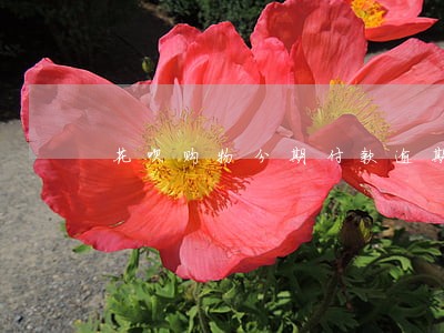 花呗购物分期付款逾期了怎么办 花呗购物分期付款逾期了怎么办