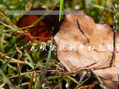 花呗贷款利率和逾期利率是多少 花呗贷款利率和逾期利率是多少