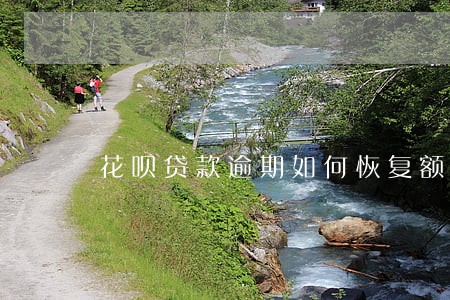 花呗贷款逾期如何恢复额度
