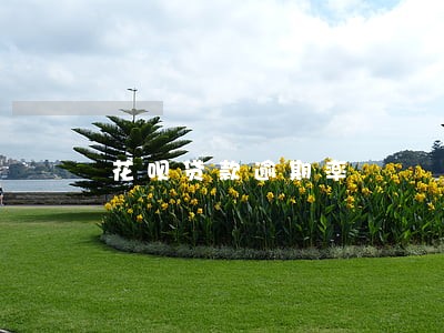 花呗贷款逾期率 花呗贷款逾期率