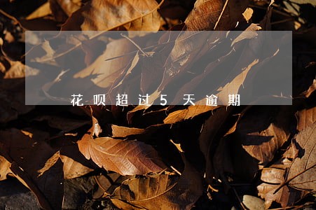 花呗超过5天逾期 花呗超过5天逾期