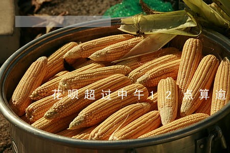 花呗超过中午12点算逾期吗 花呗超过中午12点算逾期吗