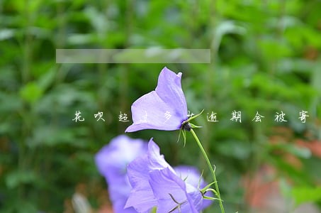 花呗超过多少逾期会被寄律师函 花呗超过多少逾期会被寄律师函