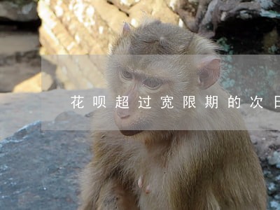 花呗超过宽限期的次日算逾期几天 花呗超过宽限期的次日算逾期几天