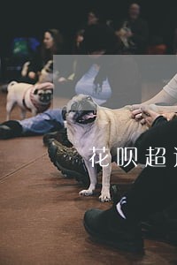 花呗超过最大逾期 花呗超过最大逾期