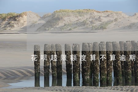 花呗超限额度算不算逾期 花呗超限额度算不算逾期