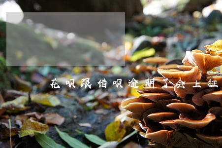 花呗跟借呗逾期了会上征信吗 花呗跟借呗逾期了会上征信吗