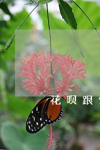 花呗跟借呗逾期说要一次性还清 花呗跟借呗逾期说要一次性还清