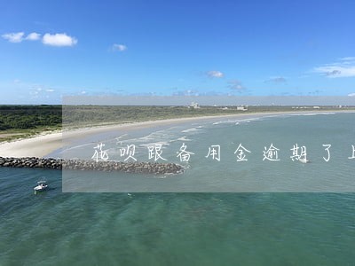 花呗跟备用金逾期了上征信吗 花呗跟备用金逾期了上征信吗