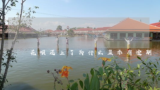 花呗还上了为什么显示有逾期