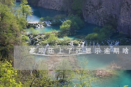 花呗还上了还显示逾期啥意思