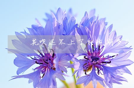花呗还不上了能逾期多长时间 花呗还不上了能逾期多长时间