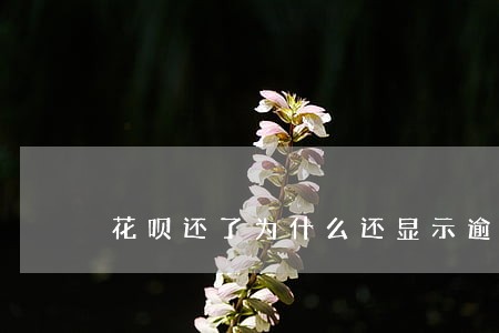 花呗还了为什么还显示逾期 花呗还了为什么还显示逾期