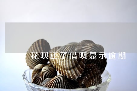 花呗还了借呗显示逾期 花呗还了借呗显示逾期