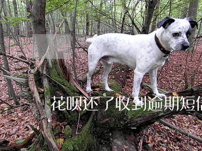 花呗还了收到逾期短信 花呗还了收到逾期短信