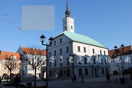 花呗还了老是发短信说逾期