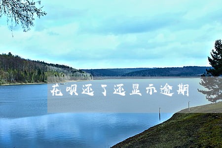 花呗还了还显示逾期 花呗还了还显示逾期