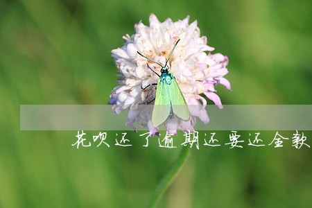 花呗还了逾期还要还全款