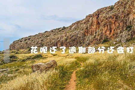 花呗还了逾期部分还会打电话吗 花呗还了逾期部分还会打电话吗