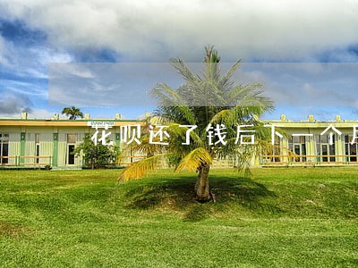 花呗还了钱后下一个月突然逾期 花呗还了钱后下一个月突然逾期