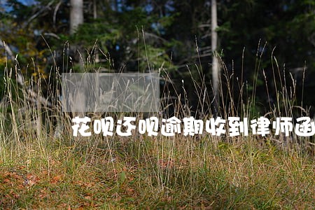 花呗还呗逾期收到律师函怎么办 花呗还呗逾期收到律师函怎么办