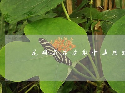 花呗还在逾期中通用额度怎么用 花呗还在逾期中通用额度怎么用