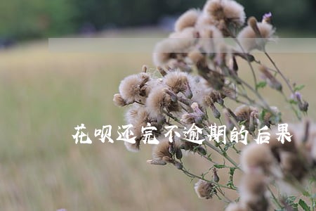 花呗还完不逾期的后果